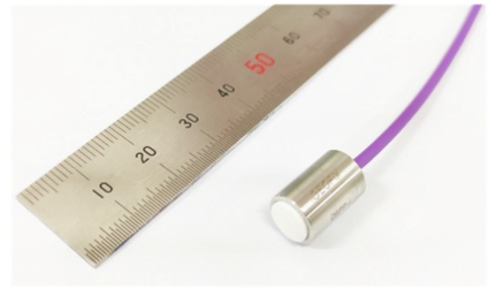 Integrated Dynamic Miniature Pore Water Pressure Transducer DSPP-I