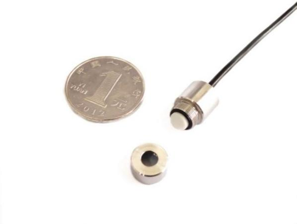Static And Dynamic Micro Pore Water Pressure Sensor DSP-I